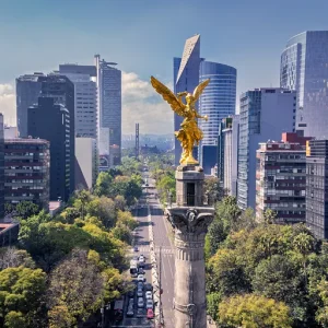 Aesthetic and oculoplastic surgery in the Mexico